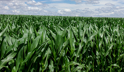 �ŵ�88(�й���)�ٷ���վ