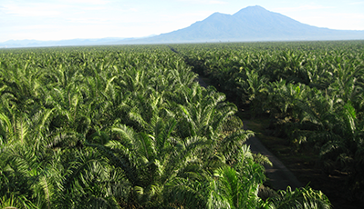 �ŵ�88(�й���)�ٷ���վ