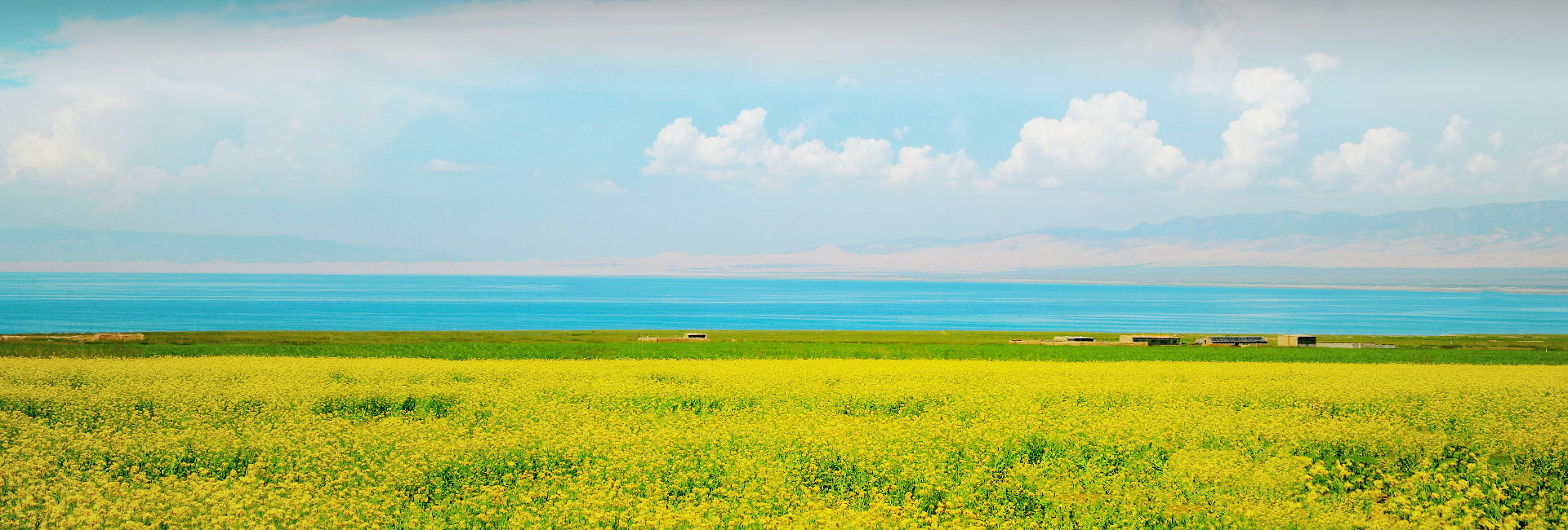 �ŵ�88(�й���)�ٷ���վ