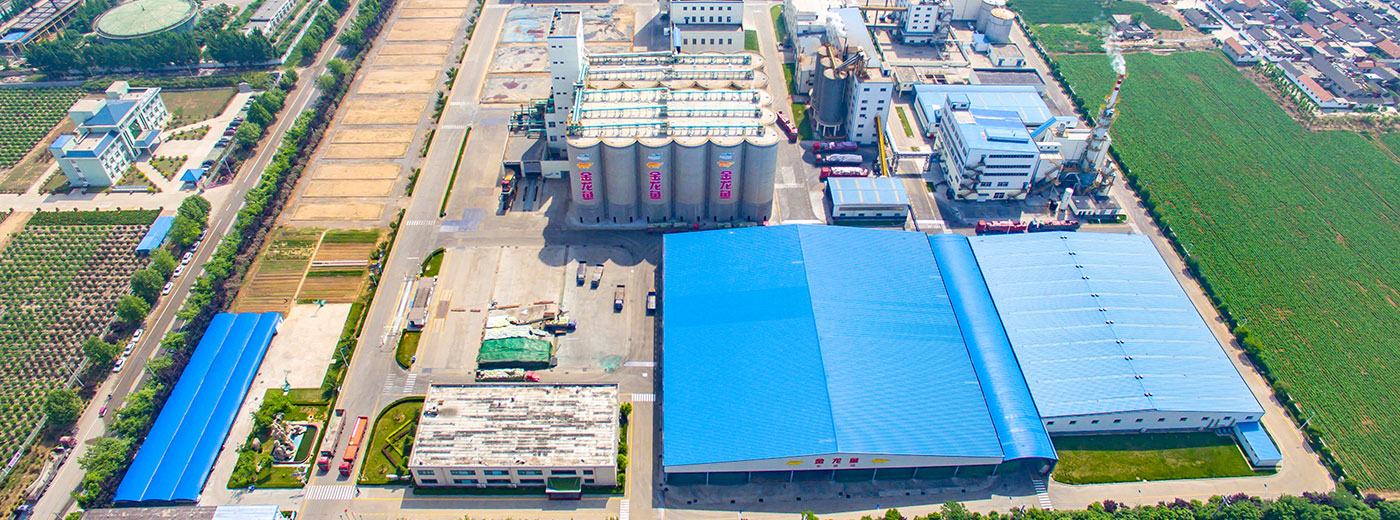 ÓŵÂ88(ÖйúÇø)¹Ù·½ÍøÕ¾