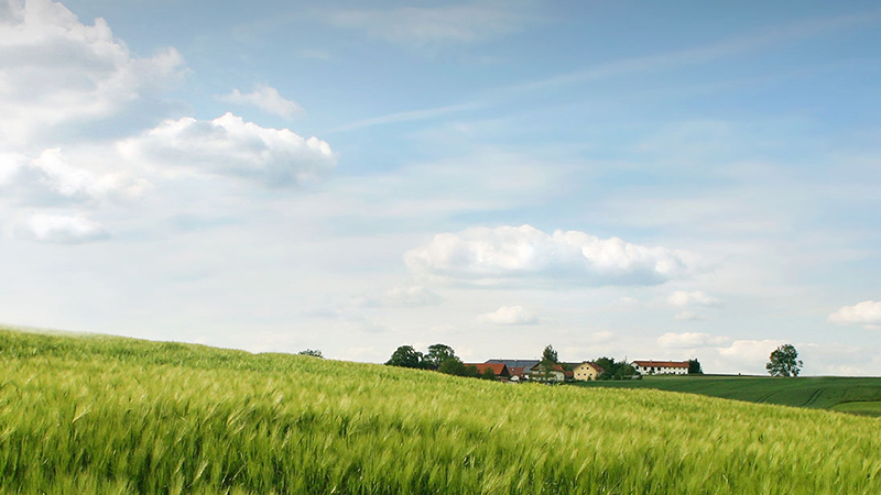 �ŵ�88(�й���)�ٷ���վ