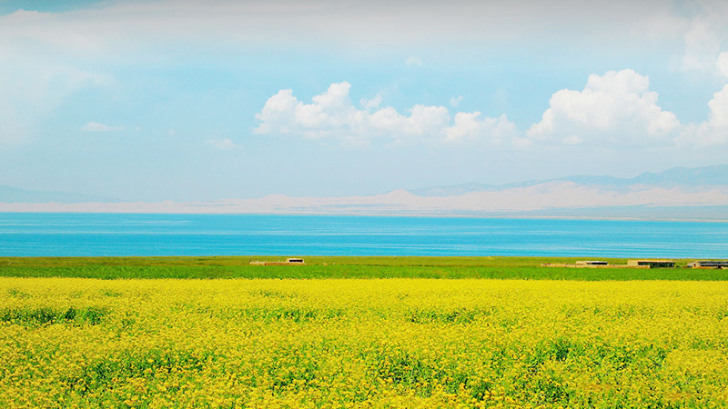 �ŵ�88(�й���)�ٷ���վ