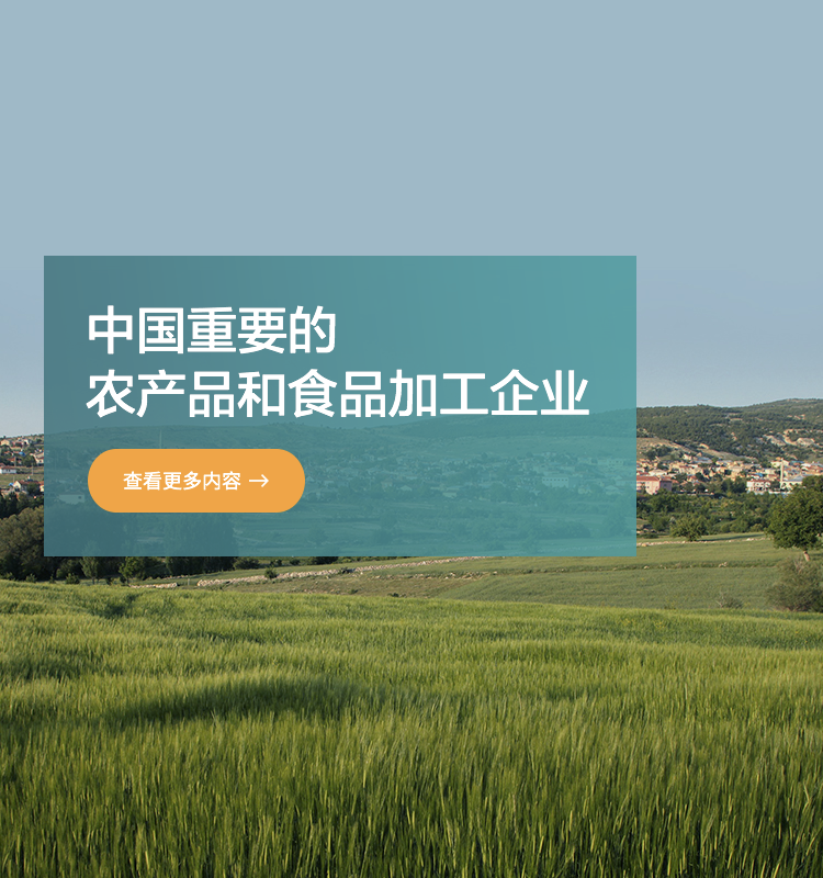 �ŵ�88(�й���)�ٷ���վ