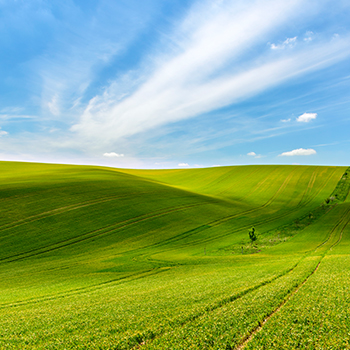 �ŵ�88(�й���)�ٷ���վ