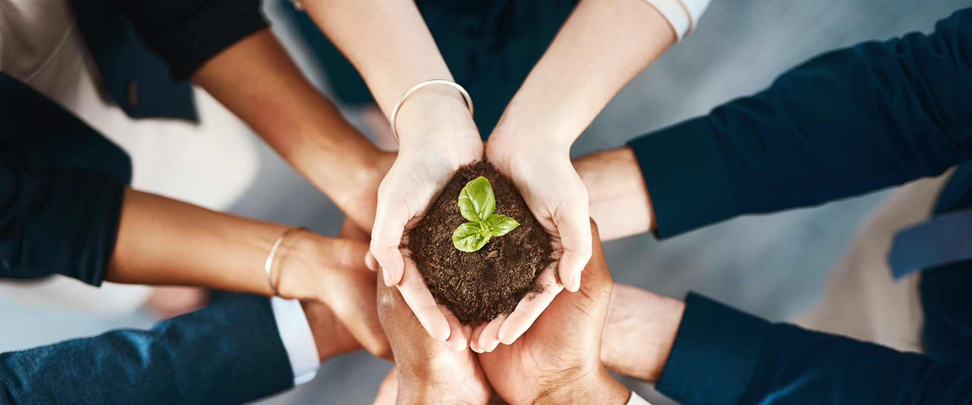 �ŵ�88(�й���)�ٷ���վ