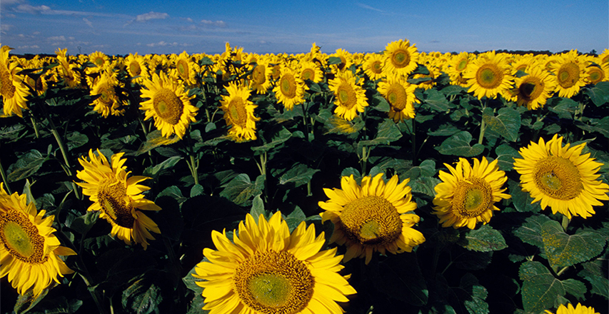 �ŵ�88(�й���)�ٷ���վ