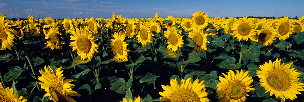 �ŵ�88(�й���)�ٷ���վ