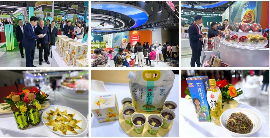 �ŵ�88(�й���)�ٷ���վ