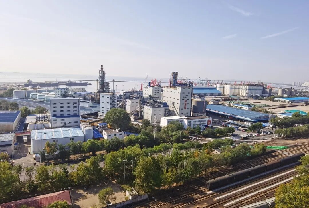 ÓŵÂ88(ÖйúÇø)¹Ù·½ÍøÕ¾