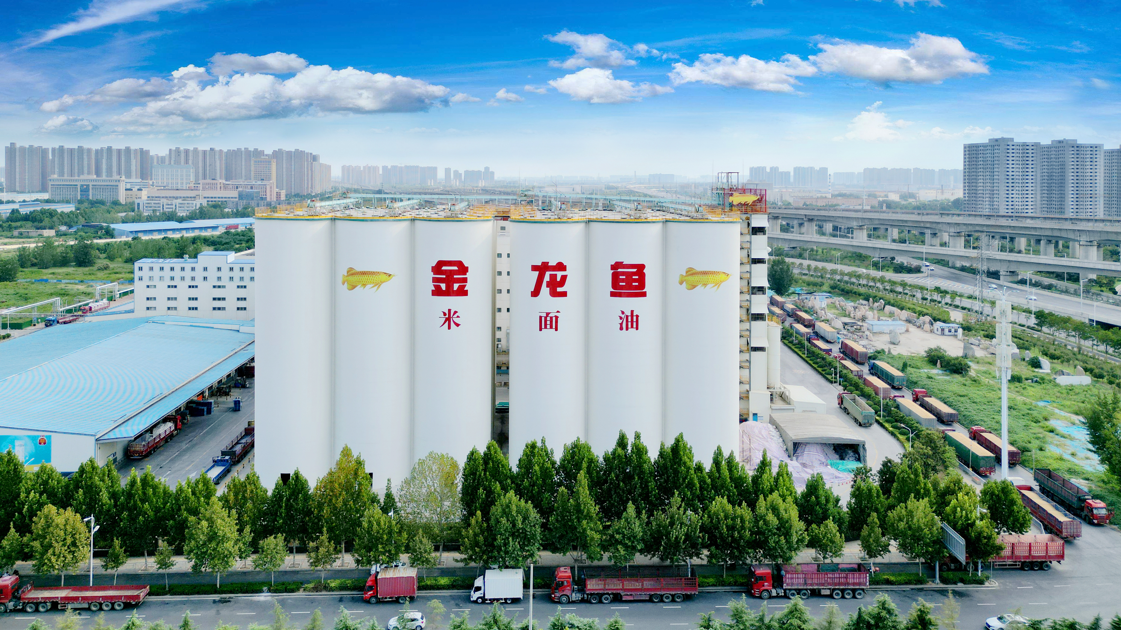 ÓŵÂ88(ÖйúÇø)¹Ù·½ÍøÕ¾