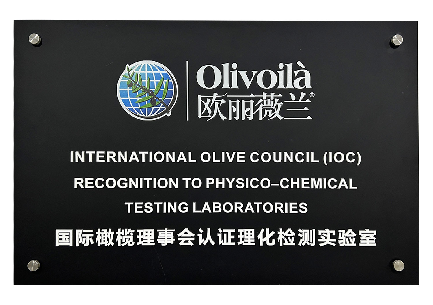 �ŵ�88(�й���)�ٷ���վ