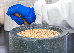 �ŵ�88(�й���)�ٷ���վ